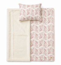 Gauze And Fur Blanket And Pillow Set