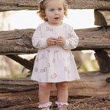 Raglan Dress Owls