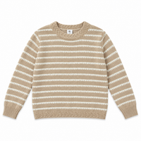 Special Stripe Knit Sweater