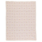 Teddy Bear Blanket