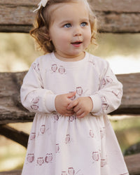 Raglan Dress Owls