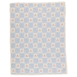 Teddy Bear Blanket