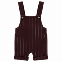 Striped Knit Short Overall