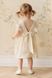 BRIELLE DRESS