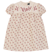 Girl Floral Print Dress With Embroidery