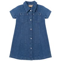 Colored Denim Dress