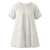 Girls Floral Embroidery With Applique Dress