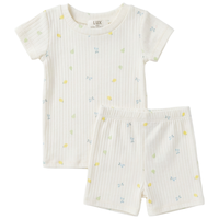 Boys Fruit Print 2 PC Set