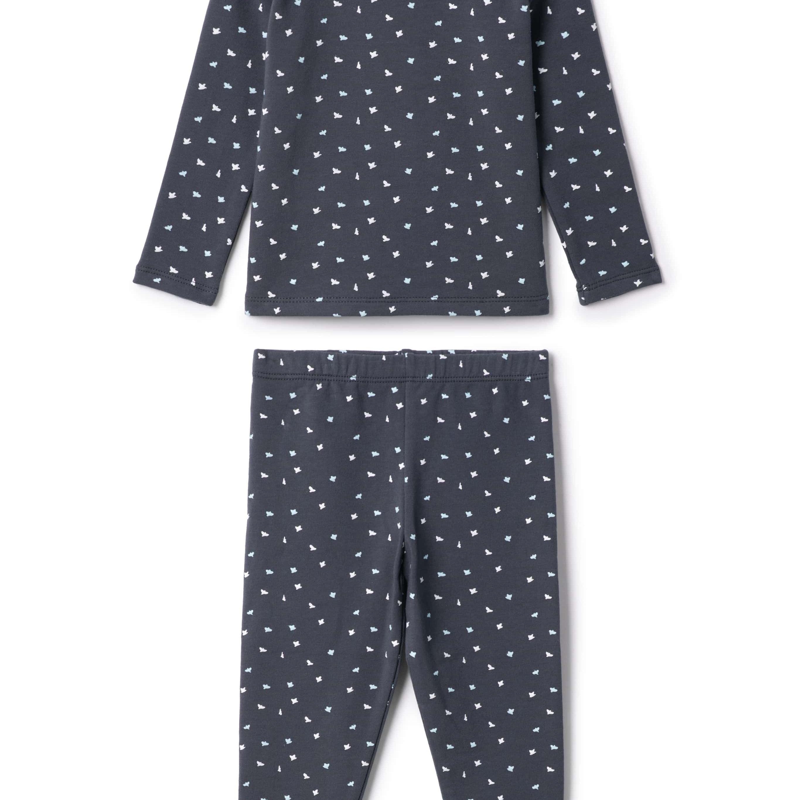 Boys 2 PC Long Set With Bird Print