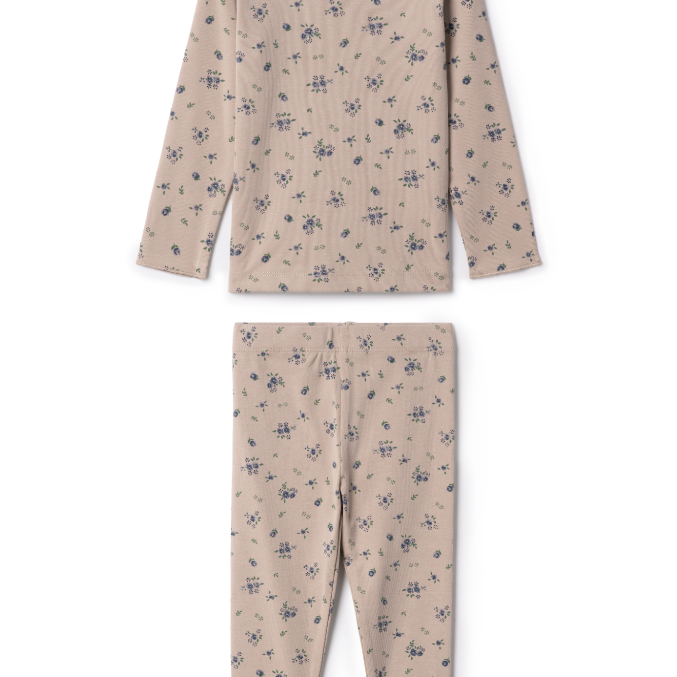 Girls Floral Print Top And Leggings Set