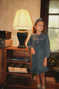 Denim Embroidered Dress