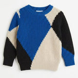 Boys Multi Block Rib Knit Sweater