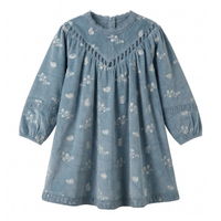 Embroidered Velour Dress