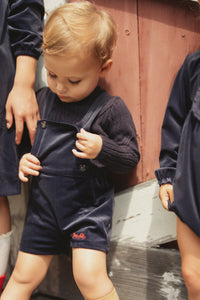 Horse Carriage Velour Overall