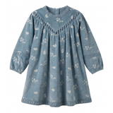 Embroidered Velour Dress