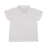 Dress Shirt